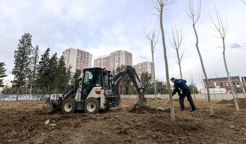 Betonun arasından orman çıktı