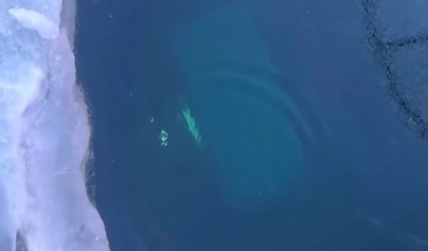 Rusya'da tur aracı buzun altına düştü