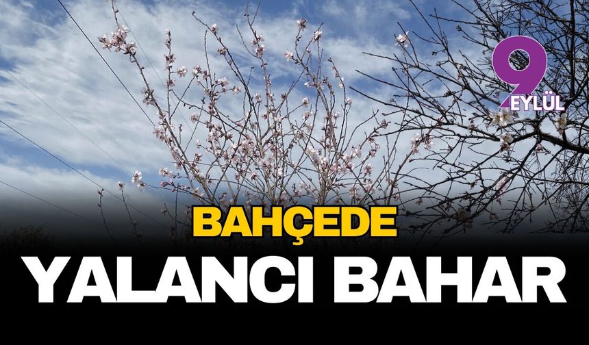 Bahçede yalancı bahar
