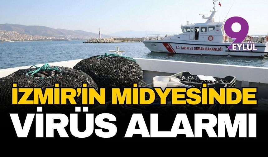 İzmir'in midyesinde 'virüs' alarmı