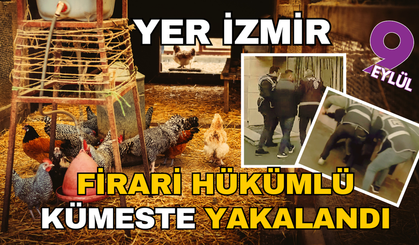 İzmir'de aranan firari kümeste yakalandı