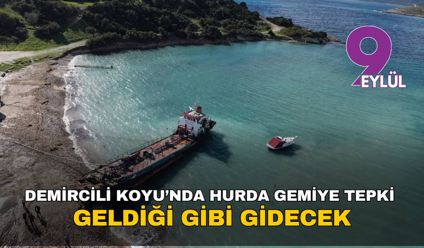 Demircili Ada Koyu’nda hurda gemiye tepki: Geldiği gibi gidecek