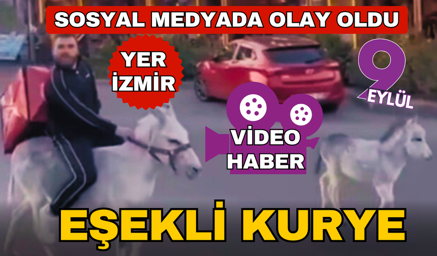İzmirli kuryeden trafikte akılalmaz hamle, ehliyeti elden gidince eşeği kullandı