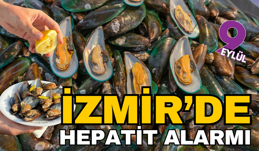Hepsi İzmir Körfezi'nden toplandı! Midyelerde Hepatit virüsü çıktı