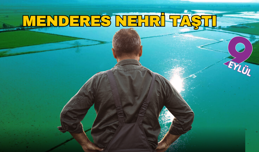 Menderes nehri taştı