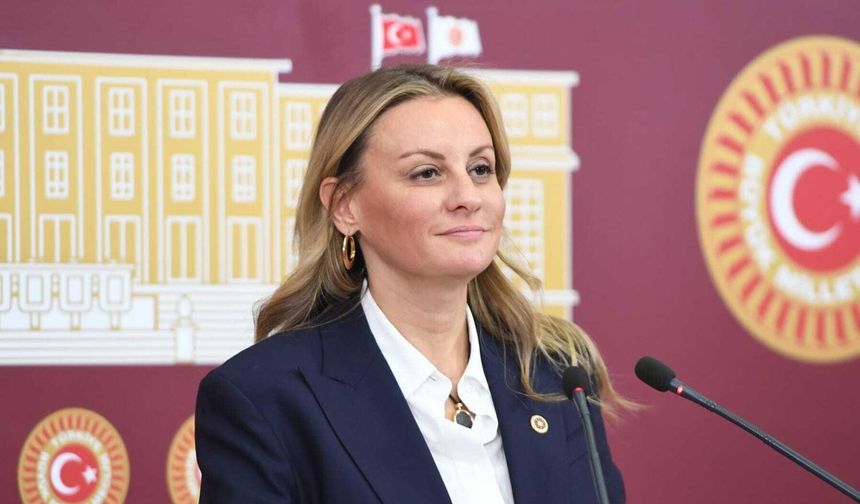 CHP’li Ösen’den 20,5 milyon metrekarelik orman tahsisine sert tepki!