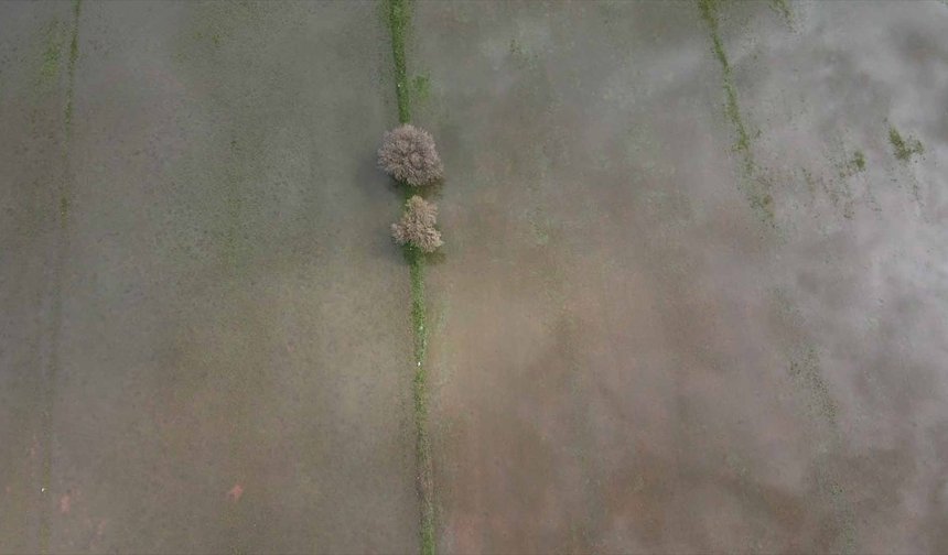 Muğla’da sağanak kabusu: Tarım arazileri sular altında kaldı