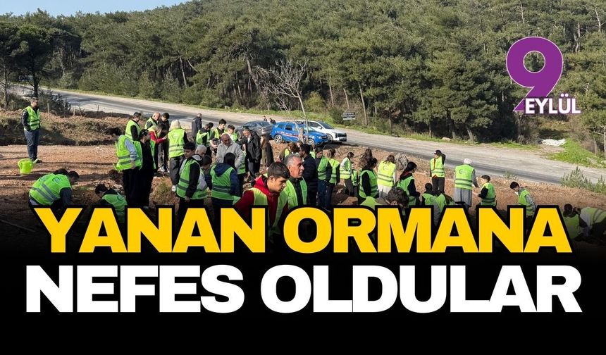 Kemalpaşa'da küllerinden doğan orman: Öğrenciler yanan bölgeye nefes oldu