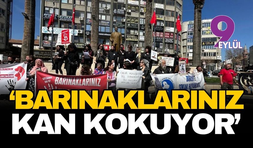 'Barınaklarınız kan kokuyor'