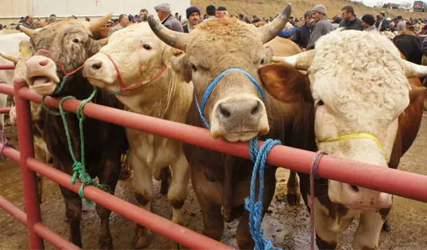 Kurban Bayramı 2026 için geri sayım başladı: Tatil 9 gün olacak mı?