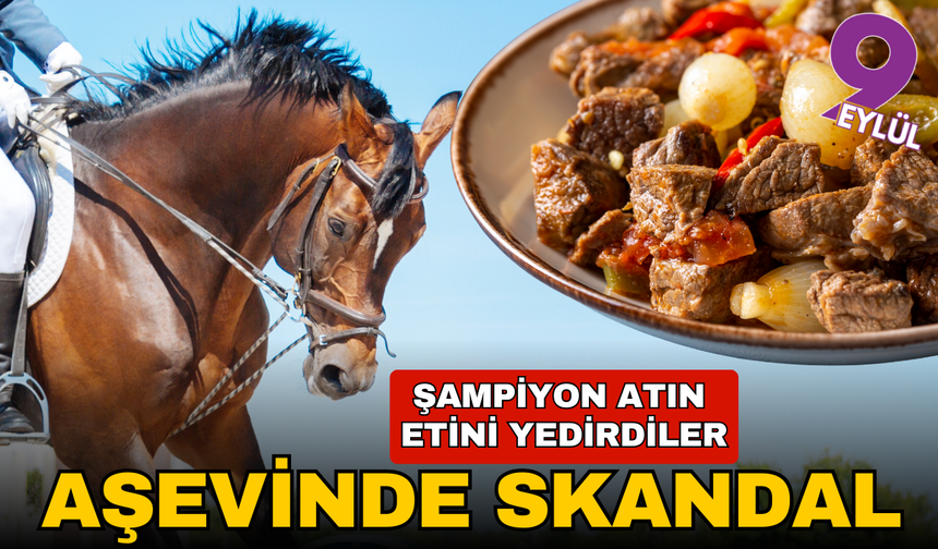 Aşevinde skandal: Şampiyon atı kavurma diye yedirdiler
