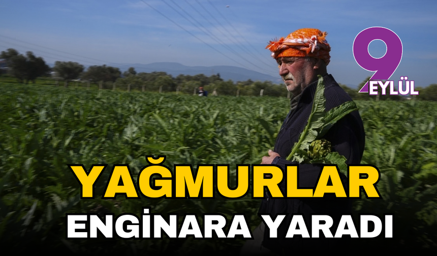 Yağmurlar enginara yaradı