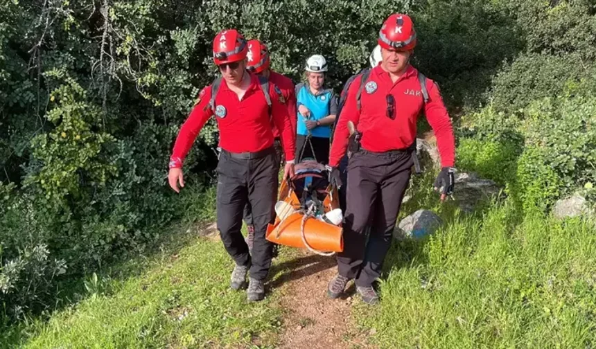 Ormanda acı dolu anlar! Kurtarıldı