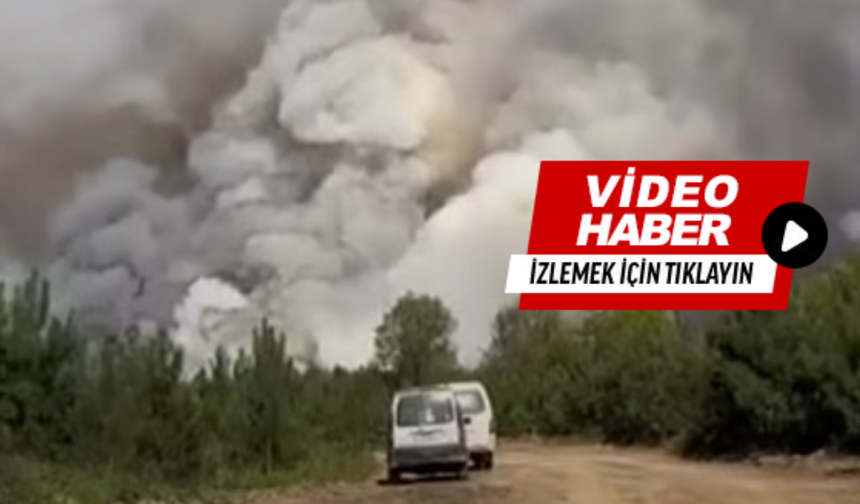 Korkutan orman yangını