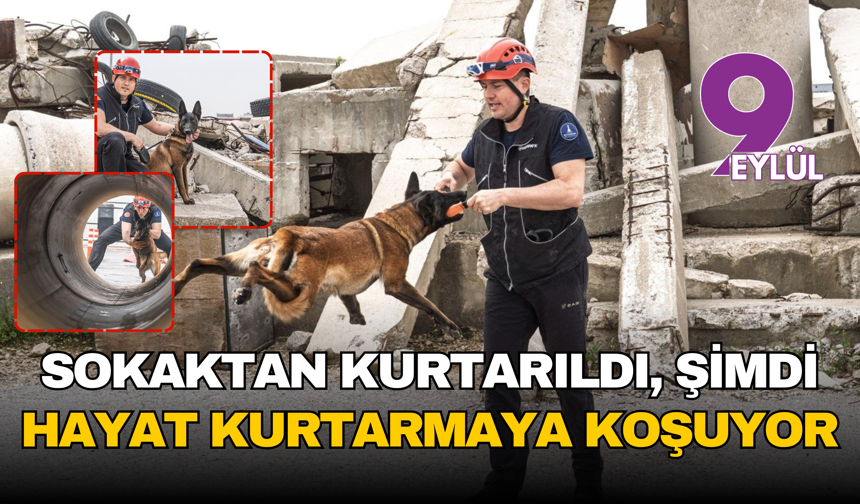 Momo enkaz için hazırlanıyor: Sokaktan kurtarıldı, şimdi hayat kurtarmaya koşuyor