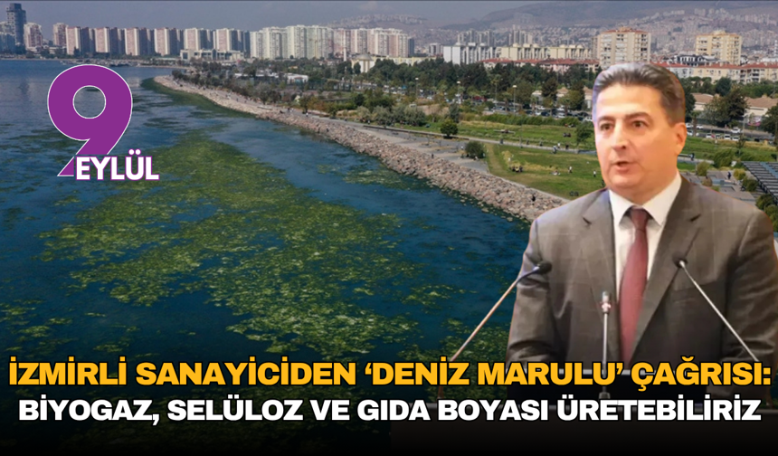 İzmirli Sanayiciden ‘Deniz Marulu’ çağrısı: Biyogaz, selüloz ve gıda boyası üretebiliriz