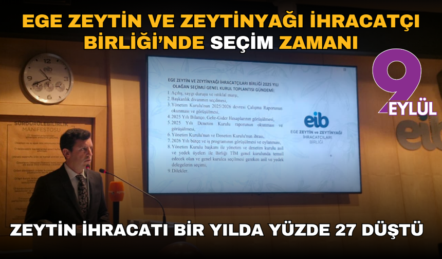 "Zeytin ihracatı bir yılda yüzde 27 düştü"