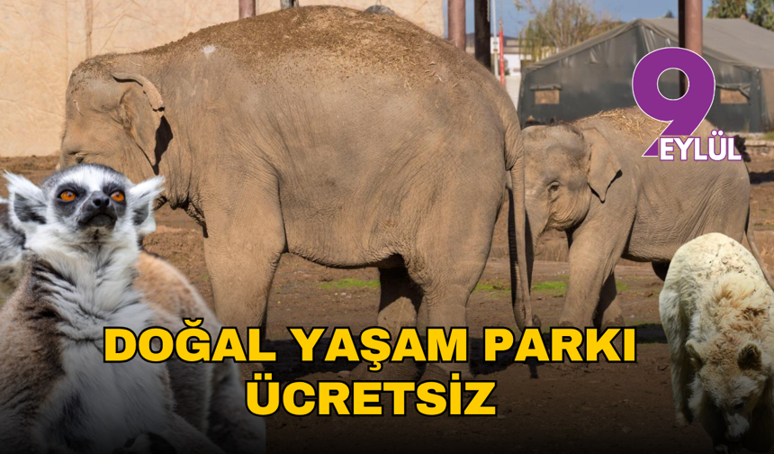 İzmir Büyükşehir'den çocuklara 23 Nisan hediyesi: Doğal Yaşam Parkı ücretsiz