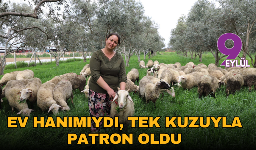 Ev hanımıydı, tek kuzuyla çiftlik patronu oldu