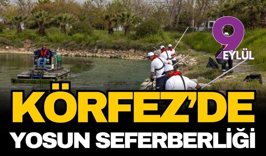 Körfez’de yosun seferberliği