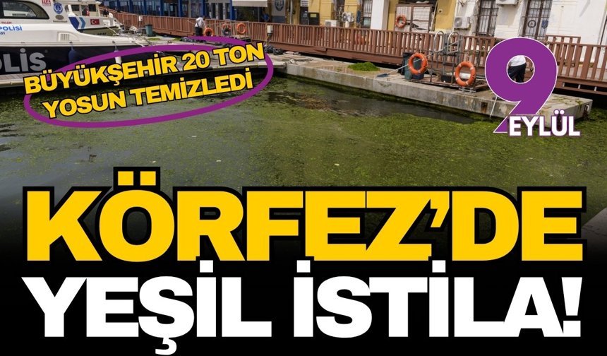 İzmir Körfezi’nde yeşil istila: Büyükşehir 20 ton yosun temizledi