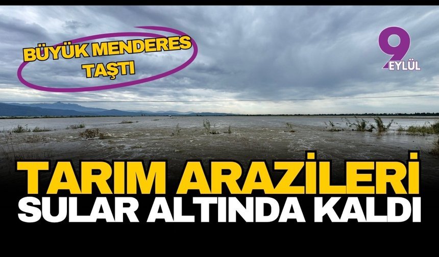 Büyük Menderes taştı: Aydın’da 65 bin dönüm arazi sular altında