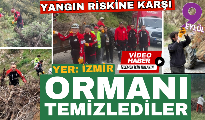 Yangın riskine karşı ormanı temizlediler
