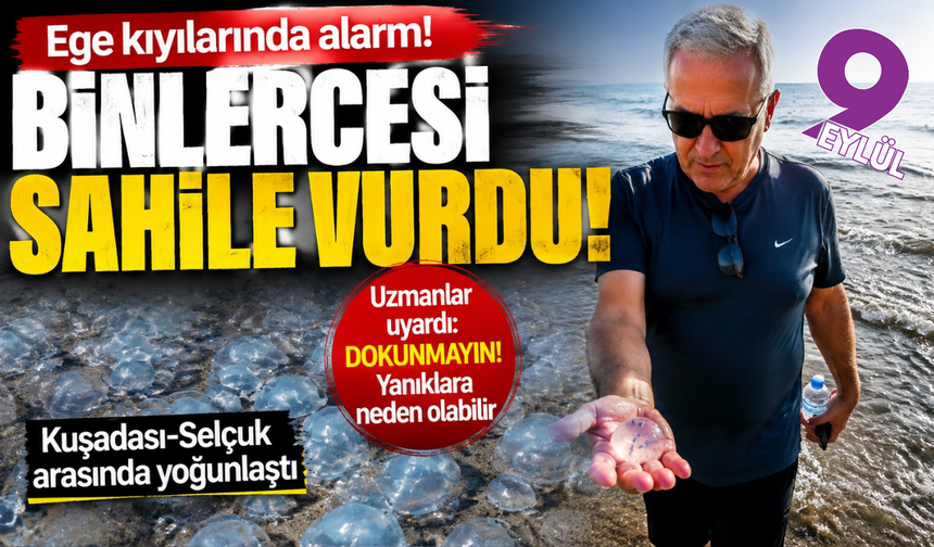 Ege kıyılarında alarm! Binlercesi sahile vurdu