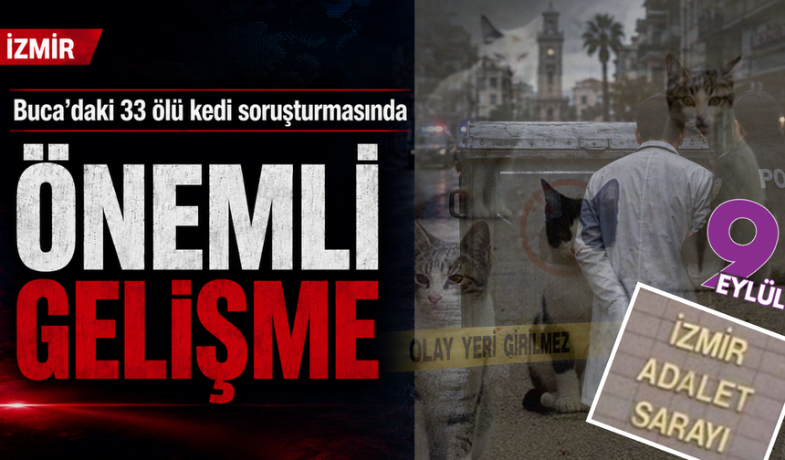 33 ölü kedi soruşturmasında yeni gelişme: Veteriner H.E. gözaltına alındı