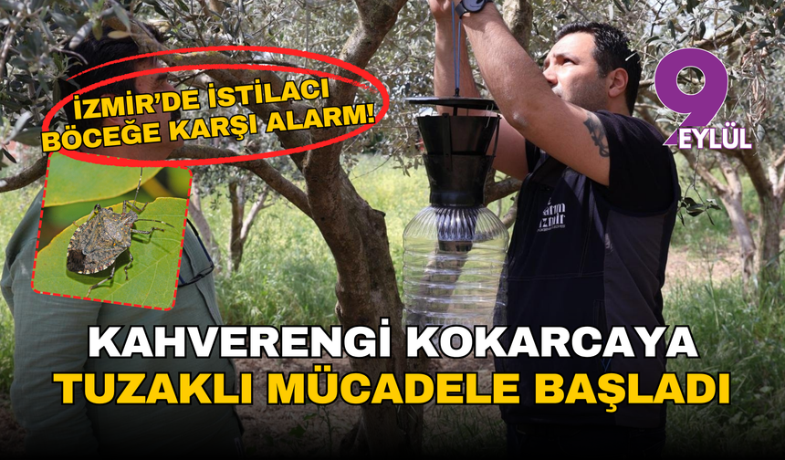 İzmir’de istilacı böceğe karşı alarm: Kahverengi kokarcaya tuzaklı mücadele başladı