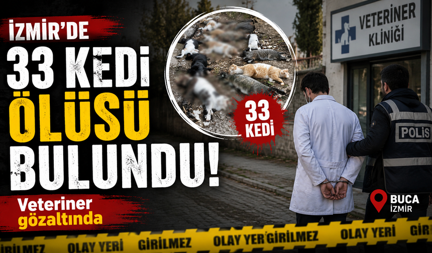 İzmir'de 33 kedi ölüsü bulundu! Veteriner gözaltında
