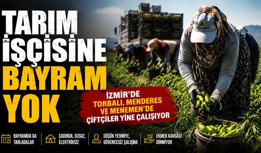 İzmir’de tarım işçileri bayramı tarlada geçiriyor: Sıcak ve zorlu koşullar sürüyor