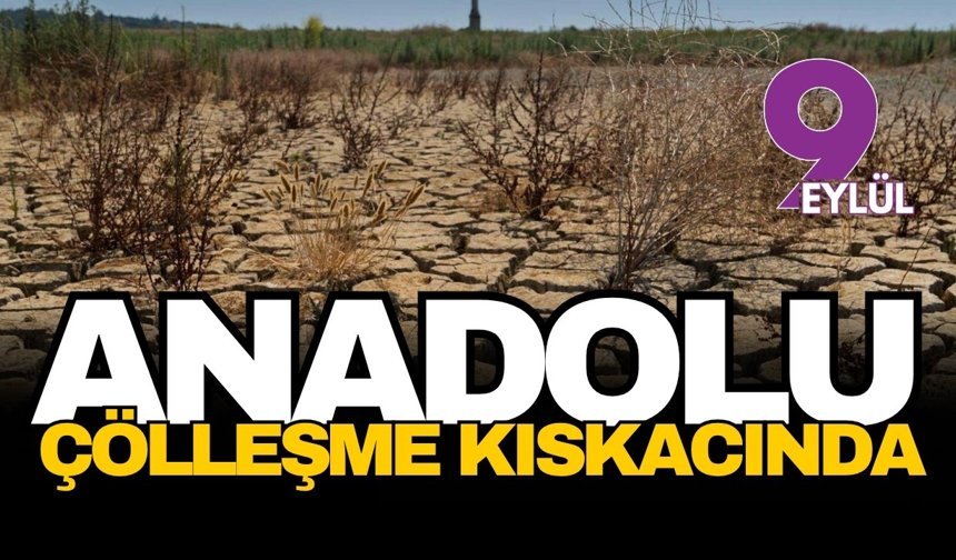 Türkiye çölleşme tehlikesiyle karşı karşıya: 2040 yılı kritik eşik