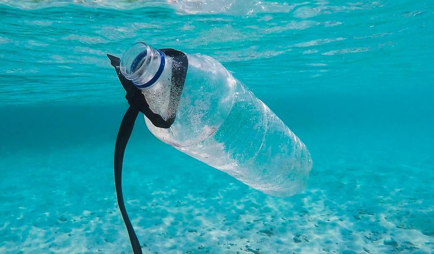 Bilim İnsanları Kendi Kendini Yok Eden Canlı Plastik Üretti