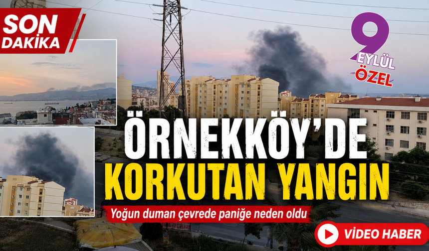 İzmir'de korkutan yangın!