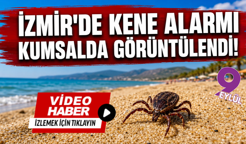 Pamucak Sahili’nde kene alarmı: Vatandaştan ilaçlama çağrısı