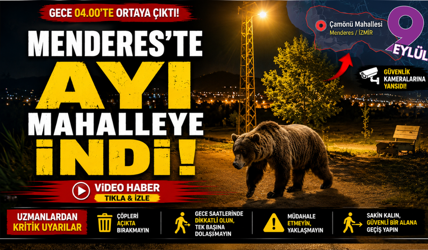 Menderes'te Gece Yarısı Sürprizi: Ayı Mahalleye İndi