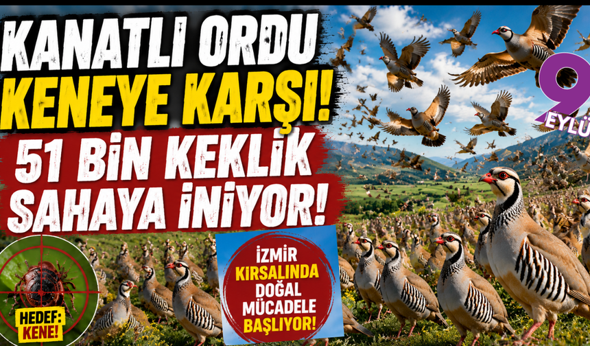 Kene tehdidine karşı kanatlı ordu göreve hazır: İzmir kırsalında ‘kınalı keklik’ alarmı