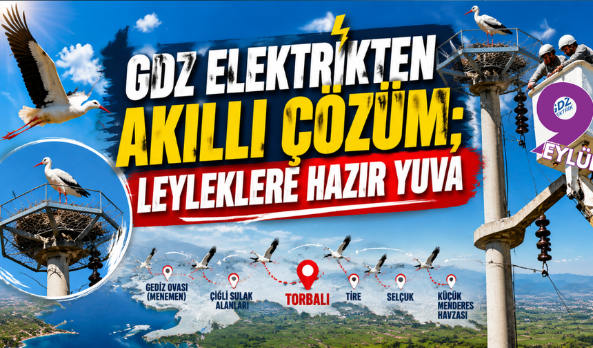 Leyleklere güvenli yuva: İzmir'de kesintisiz elektrik için doğayla uyumlu çözüm