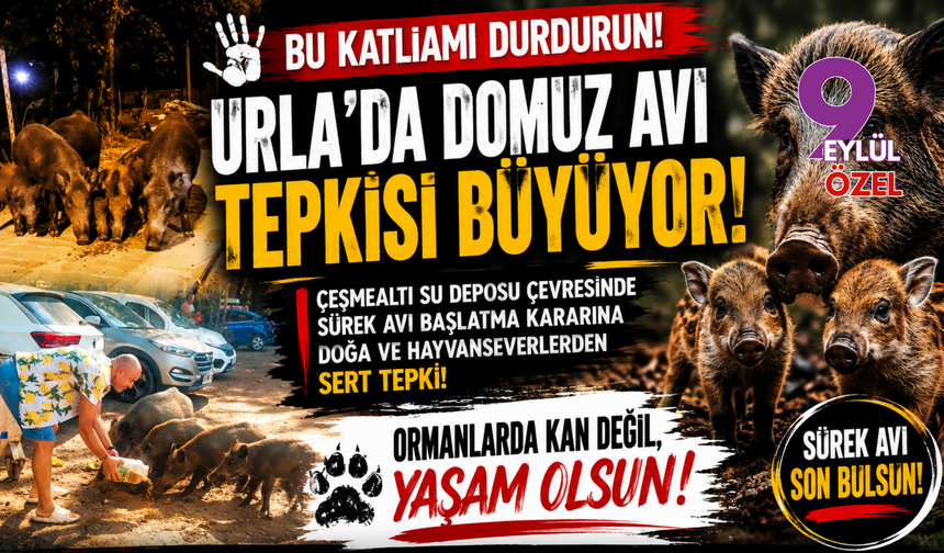 Bu katliamı durdurun