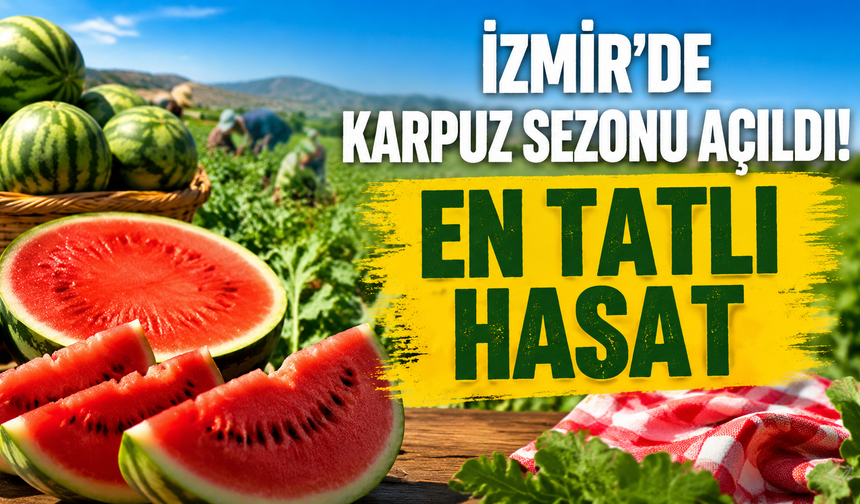 Torbalı’nın meşhur karpuzu tezgâhlarda: En tatlı hasat!
