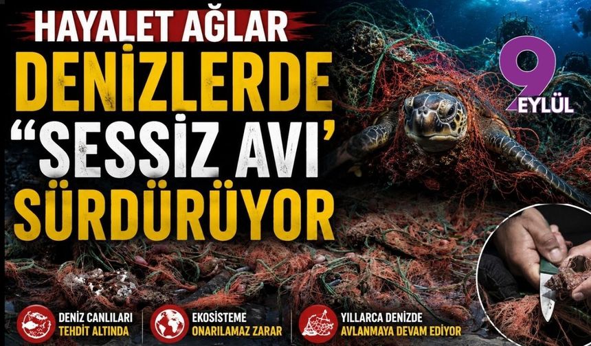Hayalet ağlar denizlerde "sessiz avı"nı sürdürüyor
