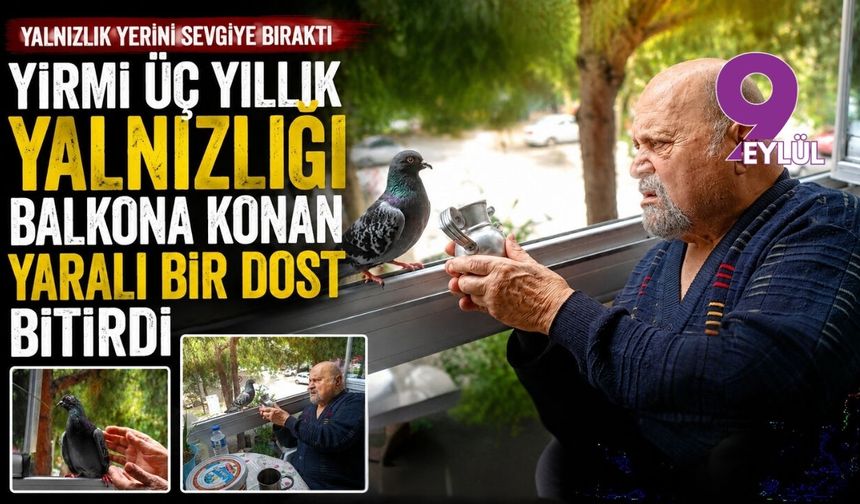 Yirmi üç yıllık yalnızlığı balkona konan yaralı bir dost bitirdi