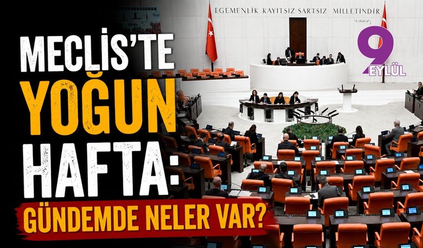 Meclis'te yoğun hafta: Gündemde neler var?