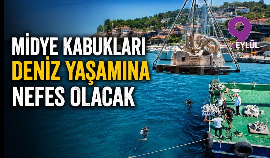 Midye kabukları deniz yaşamına nefes olacak