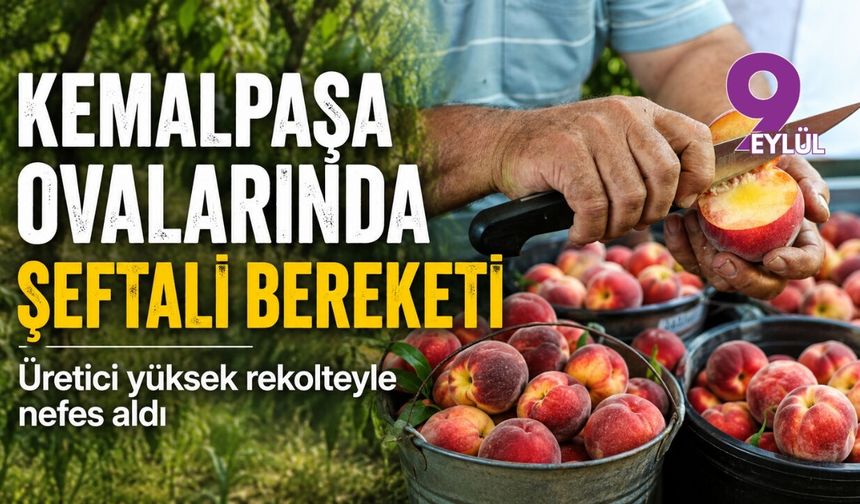Kemalpaşa ovalarında şeftali bereketi: Üretici yüksek rekolteyle nefes aldı
