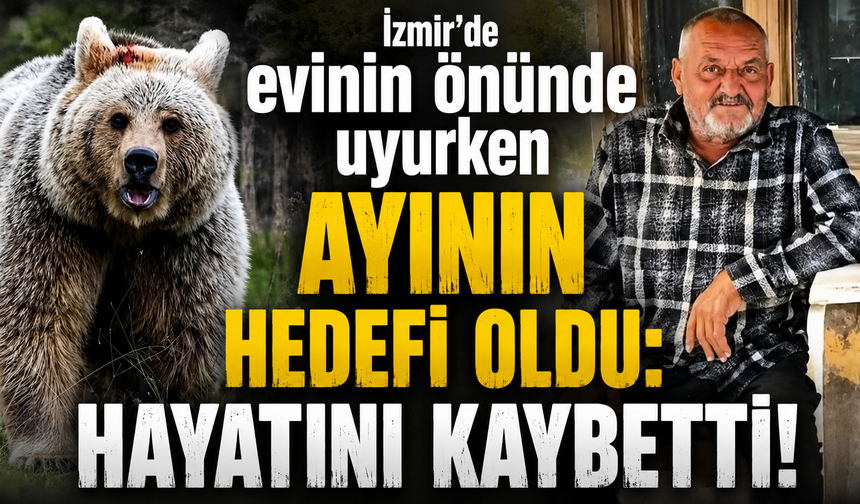 İzmir'de evinin önünde uyurken ayının hedefi oldu: Hayatını kaybetti!