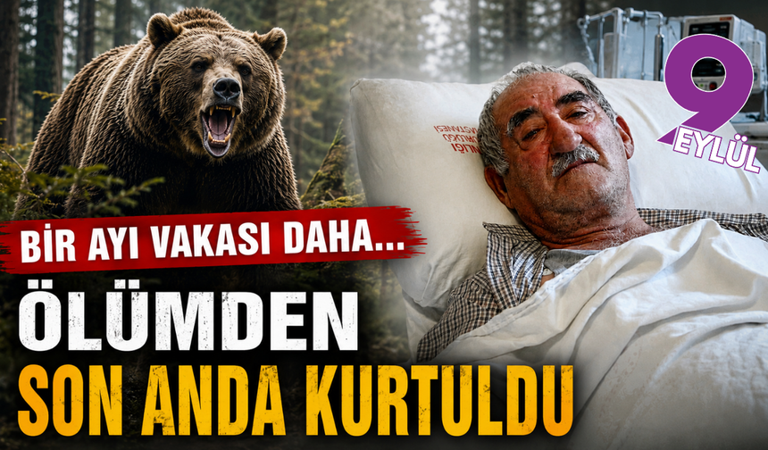 İzmir'den Kars'a gitti, ayı saldırısına uğradı! Ayılar bu kez peşine memleketinde takıldı