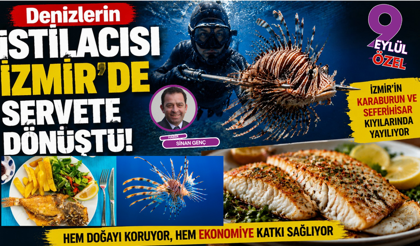 Denizleri tehdit eden balık İzmir’de kazanç kapısı oldu