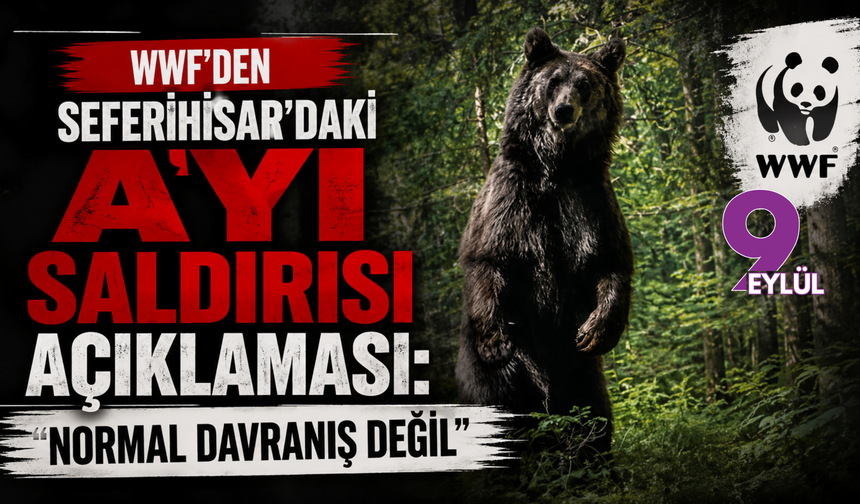 WWF’den Seferihisar’daki ayı saldırısı açıklaması: Normal davranış değil